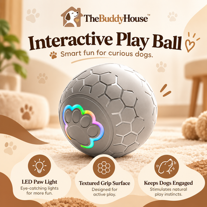 TheBuddyHouse™ Interactive Smart Dog Ball – Automatic Rolling Toy with LED Paw Light